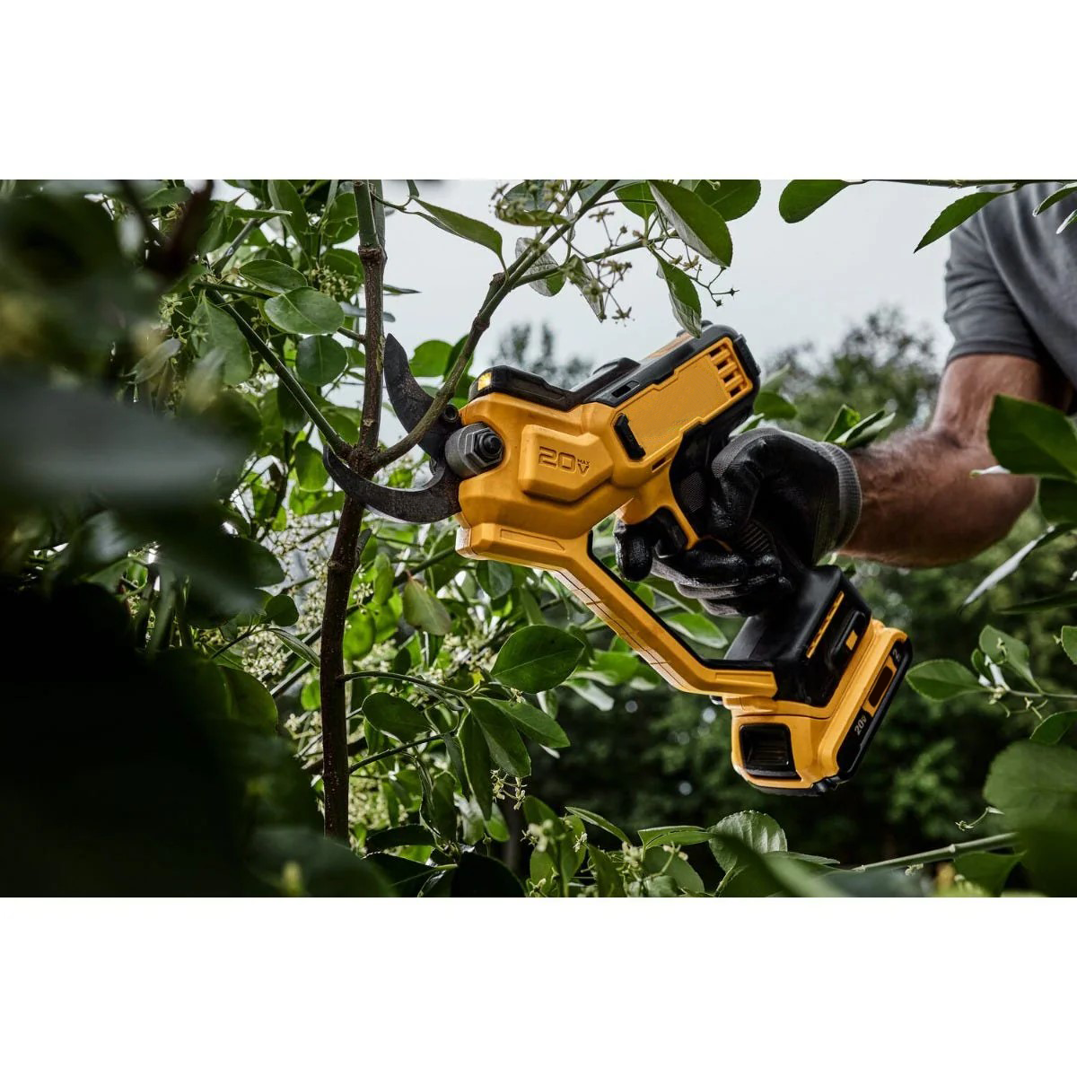 Cordless 20 V Shrub & Limb Pruner